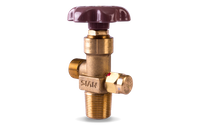 CNG Valve